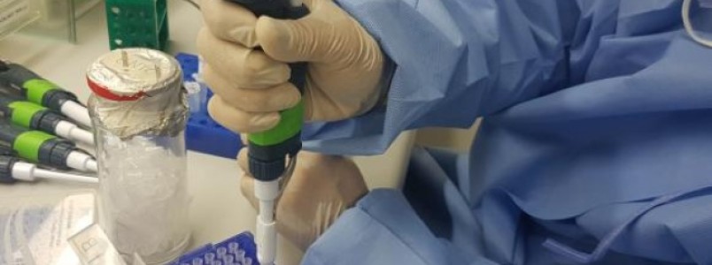 Inibidor do vírus Zika deve levar 10 anos para ser produzido em larga escala